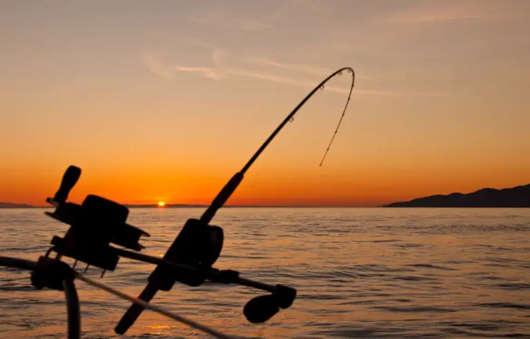 A Isca Infalível que Está Fazendo Pescadores Vibrarem