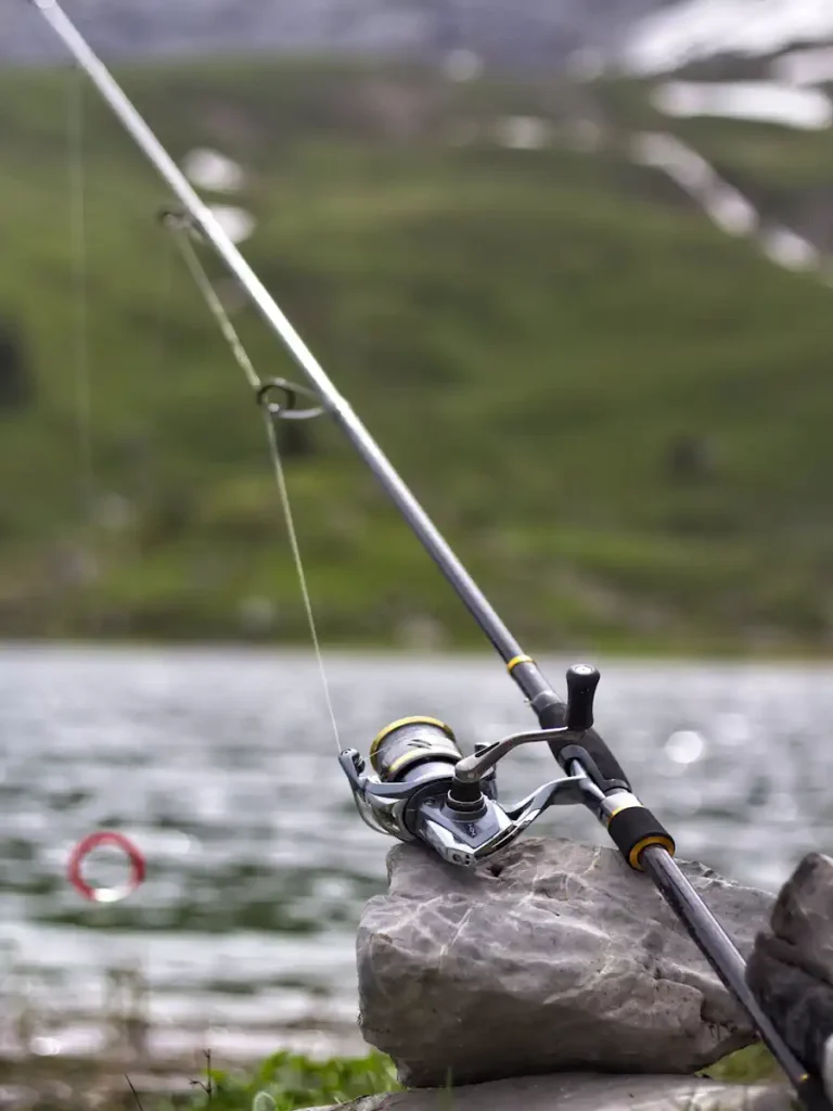 Guia Completo de Pesca 2025