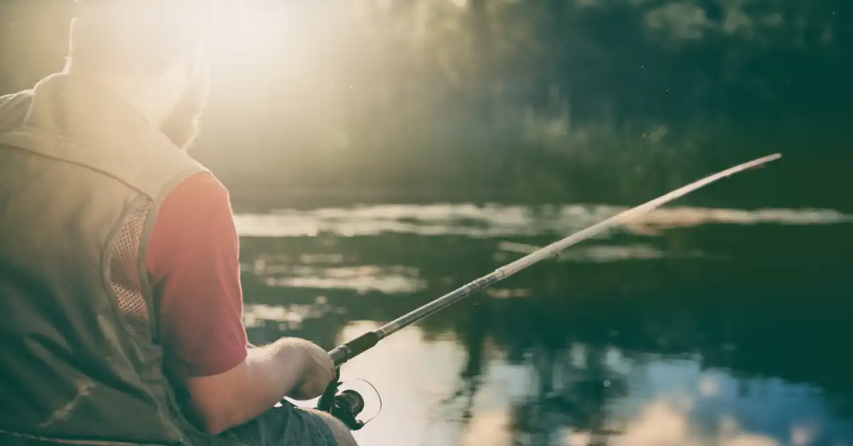 Melhor Horário Para Pescar Tucunaré