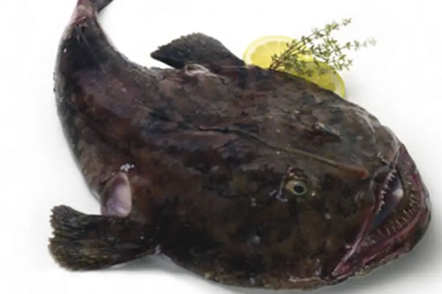 Espetos de Tamboril com Pêssego e Pimenta Rosa