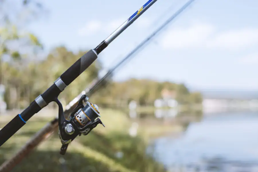 Top 5 Varas de Pesca Iniciantes 2025