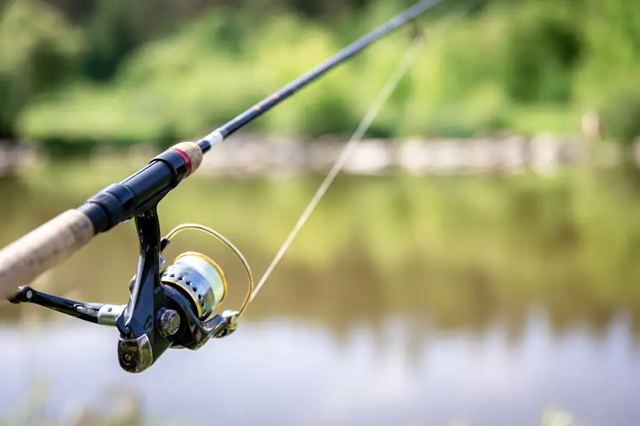 Top 5 Varas de Pesca Iniciantes 2025