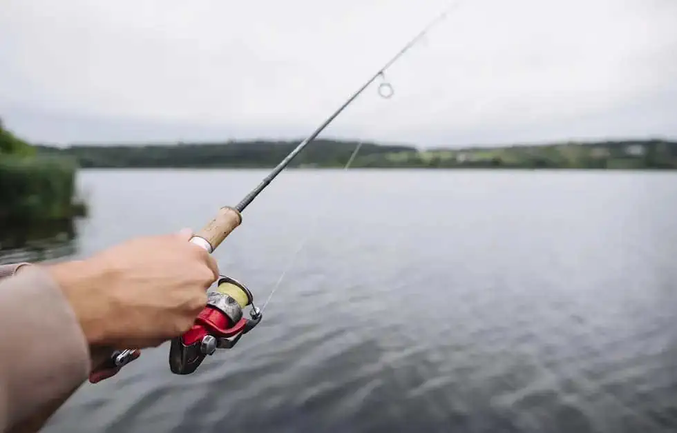 Top 5 Varas de Pesca Iniciantes 2025