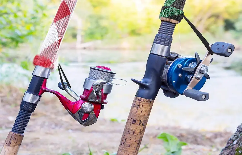 Molinete ou Carretilha Qual Escolher