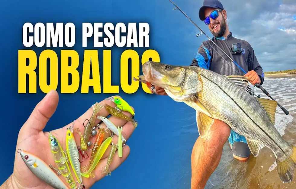 Guia Definitivo de Pesca do Robalo
