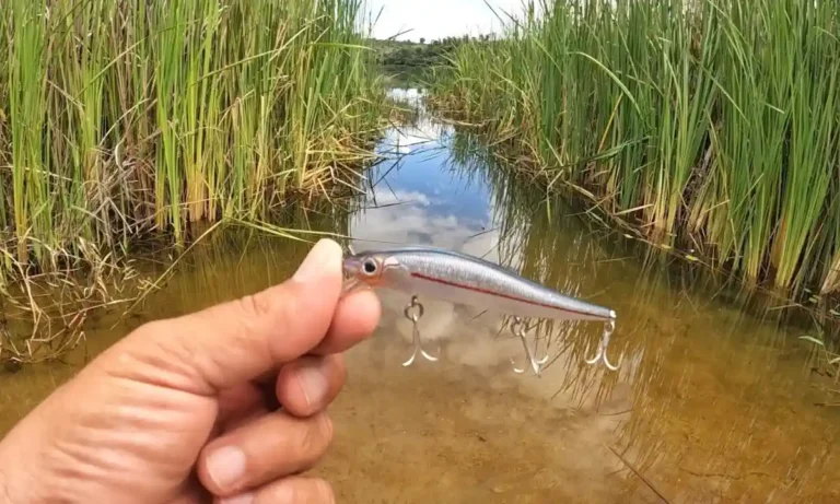 Isca Máquina 98 A Revolução das Iscas Artificiais