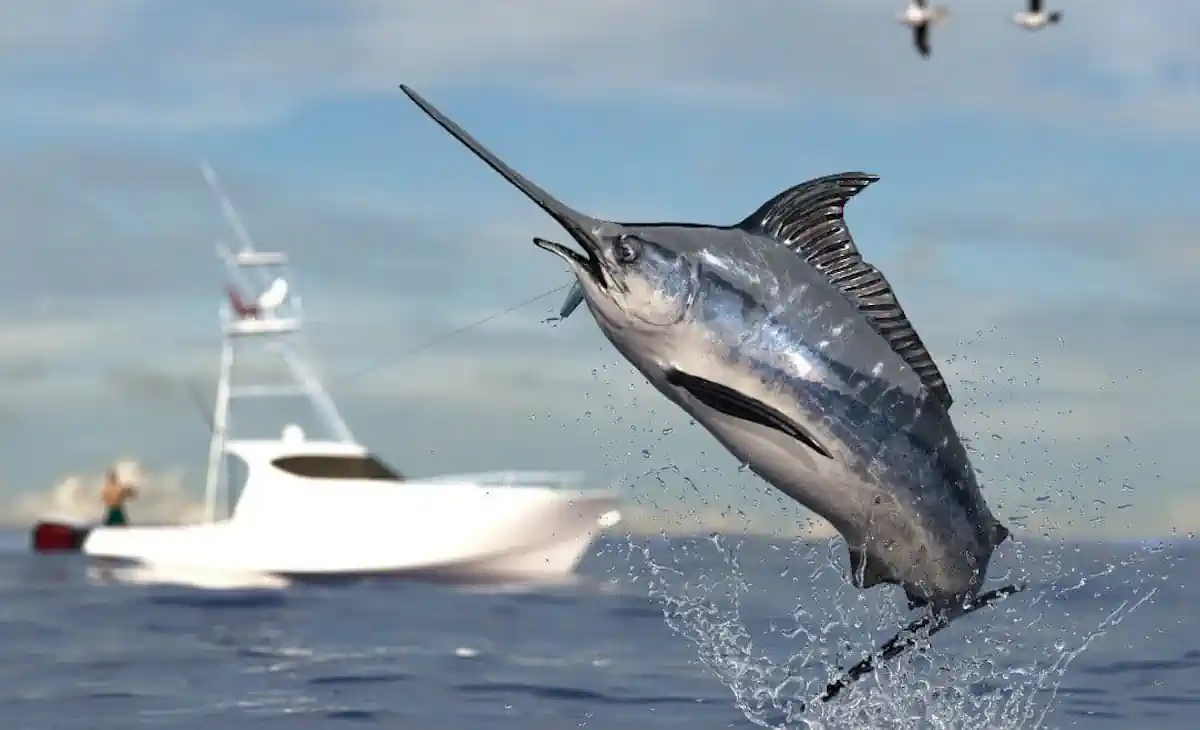 Espadarte: O Gladiador dos Oceanos - Guia Completo de Pesca e Características 4 Espadarte O Gladiador dos Oceanos