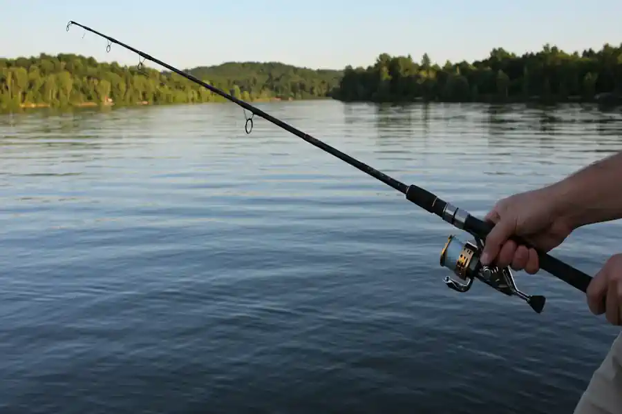 Vara de Pesca Daiwa Ardito Travel: Vale a Pena Comprar? 2 Vara de Pesca Daiwa Ardito Travel