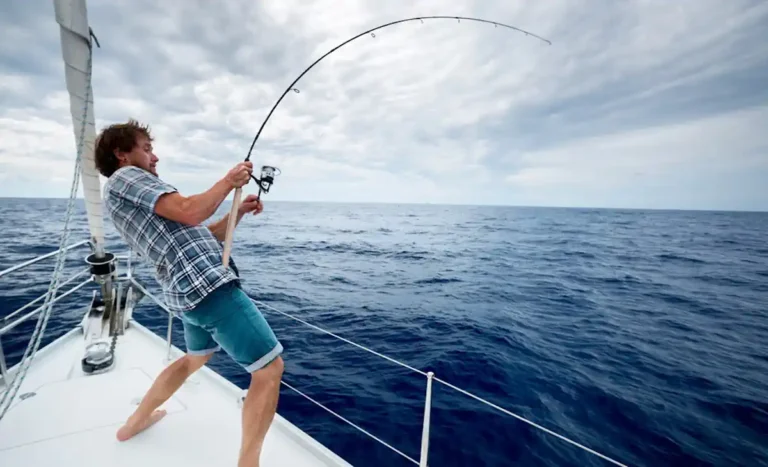 Vara de Pesca Daiwa Ardito Travel