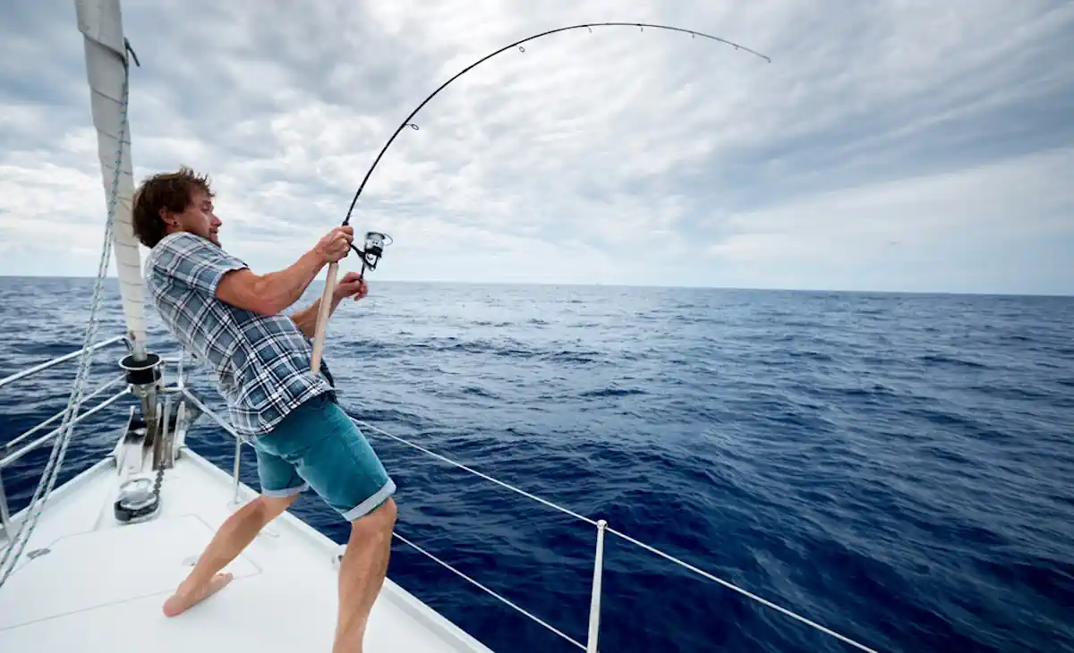 Vara de Pesca Daiwa Ardito Travel