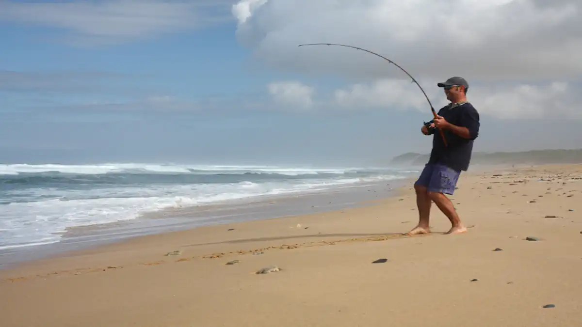 Pesca de Praia (Surfcasting)