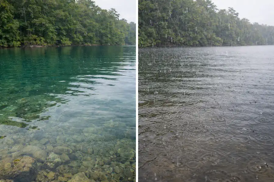 O Que Ninguém Te Conta Sobre Pescar na Chuva 2 Sobre Pescar na Chuva