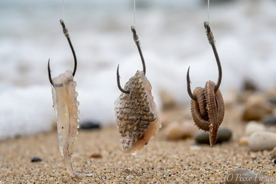 Melhor Isca para Corvina: Dicas que Funcionam de Verdade 2 Melhor Isca para Corvina (3)